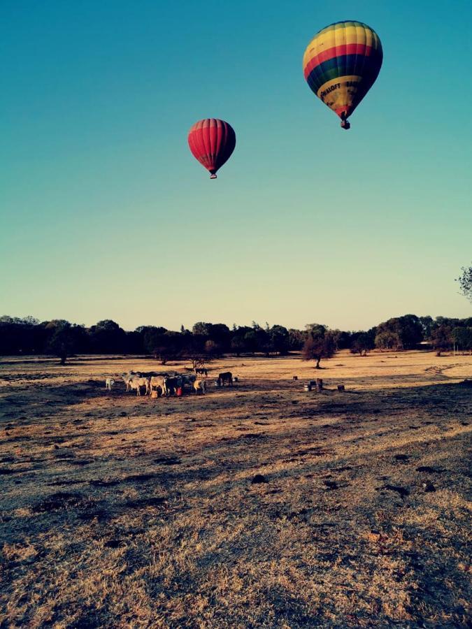 Kromdraai Guest Rooms Krugersdorp Zewnętrze zdjęcie